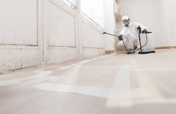 24/7 Emergency Bathroom Mold Removal experts in Waverly, VA