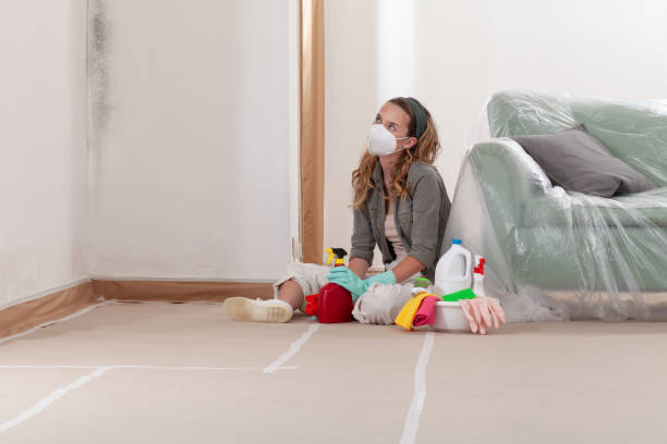 Reliable Bathroom Mold Removal contractor in Waverly, VA by 24 Hour Mold Removal